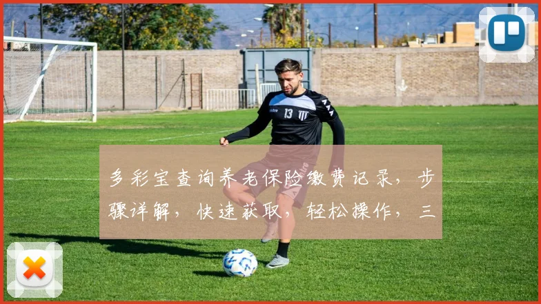 多彩宝查询养老保险缴费记录，步骤详解，快速获取，轻松操作，三步搞定