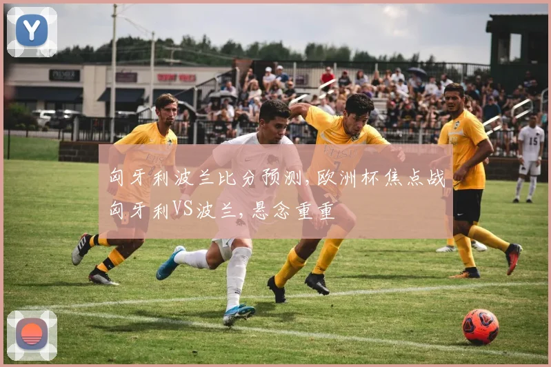 匈牙利波兰比分预测,欧洲杯焦点战匈牙利VS波兰,悬念重重