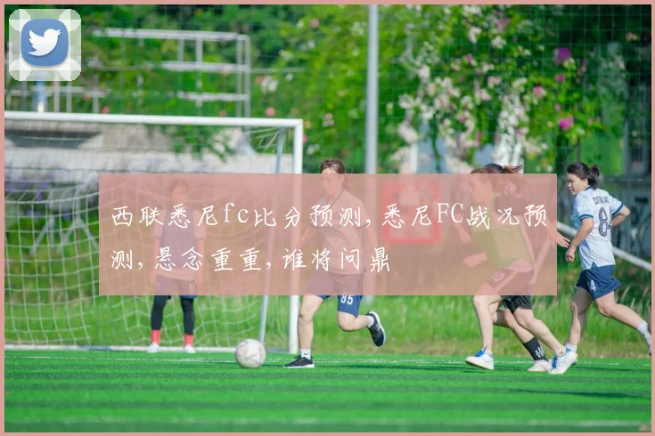 西联悉尼fc比分预测,悉尼FC战况预测,悬念重重,谁将问鼎