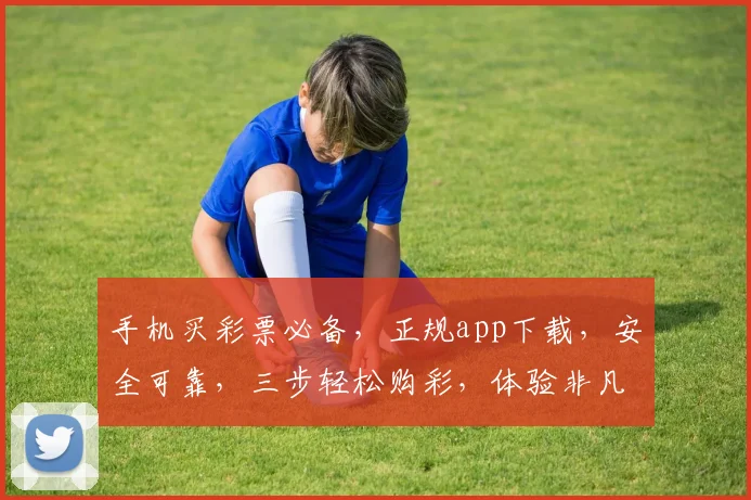 手机买彩票必备，正规app下载，安全可靠，三步轻松购彩，体验非凡乐趣，