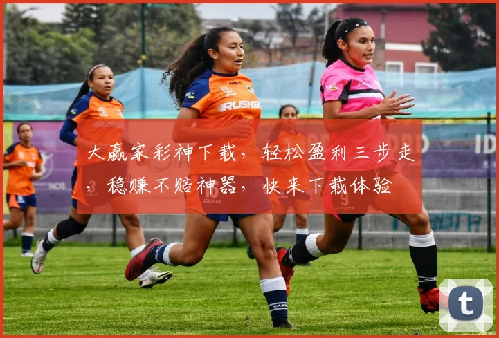 大赢家彩神下载，轻松盈利三步走，稳赚不赔神器，快来下载体验