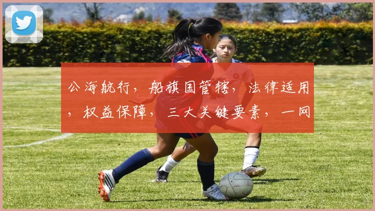 公海航行，船旗国管辖，法律适用，权益保障，三大关键要素，一网打尽